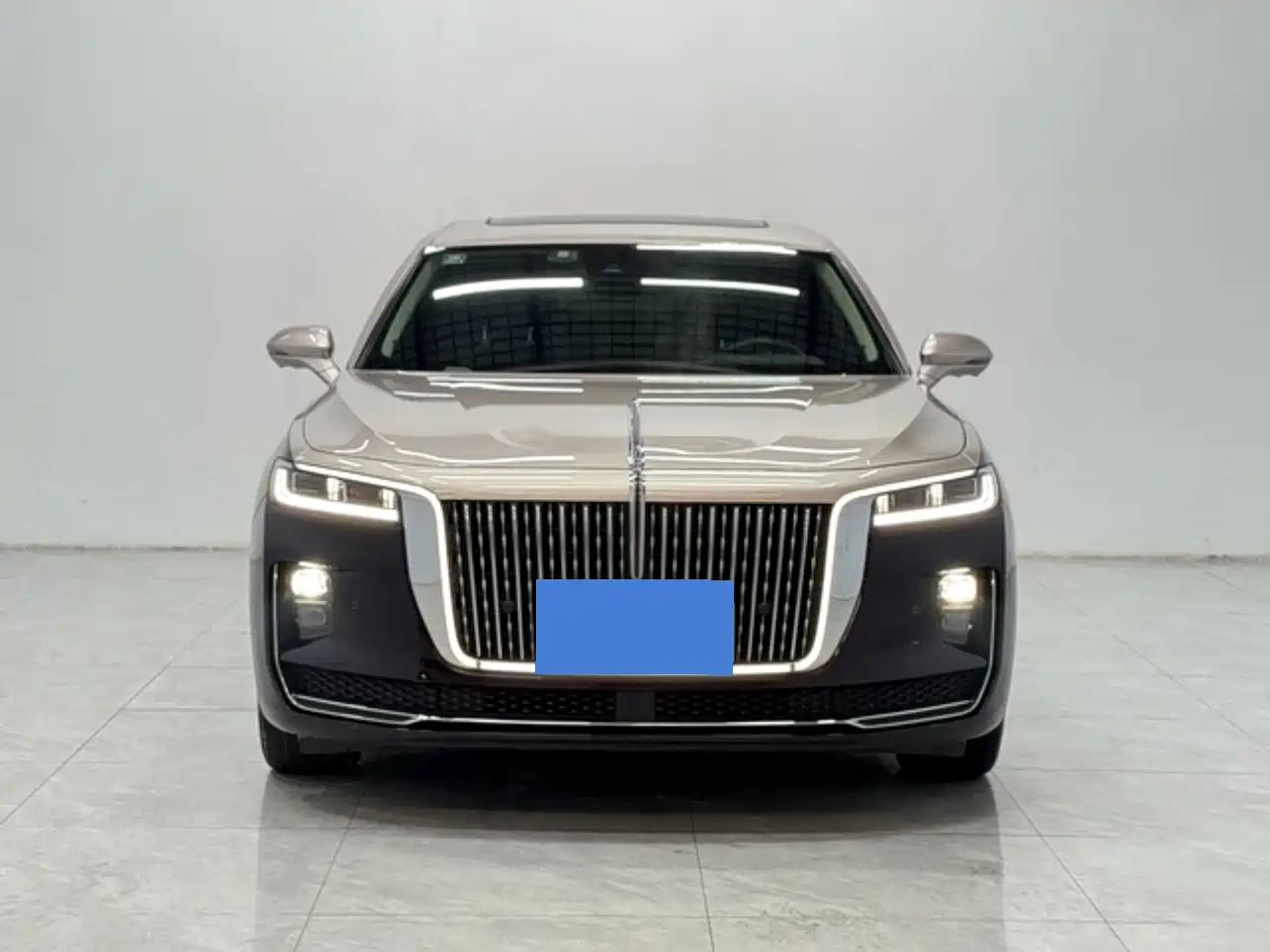 Hongqi H9 2020 3.0T Smart Connect Flagship 4-Seater фото 2