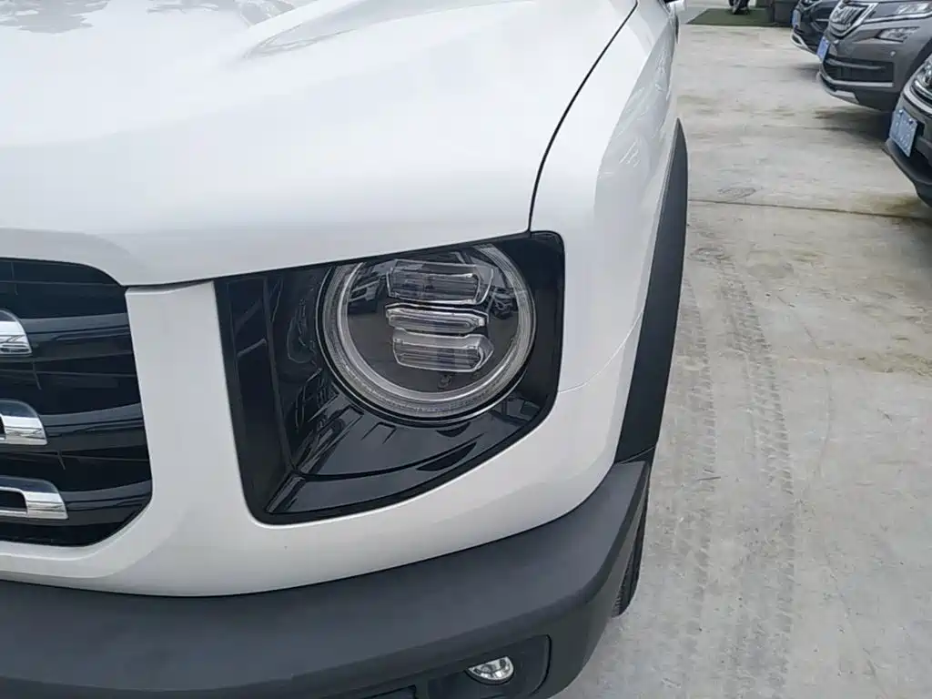 Haval Dargo 2021 2021 1.5T DCT 2WD Labrador Edition