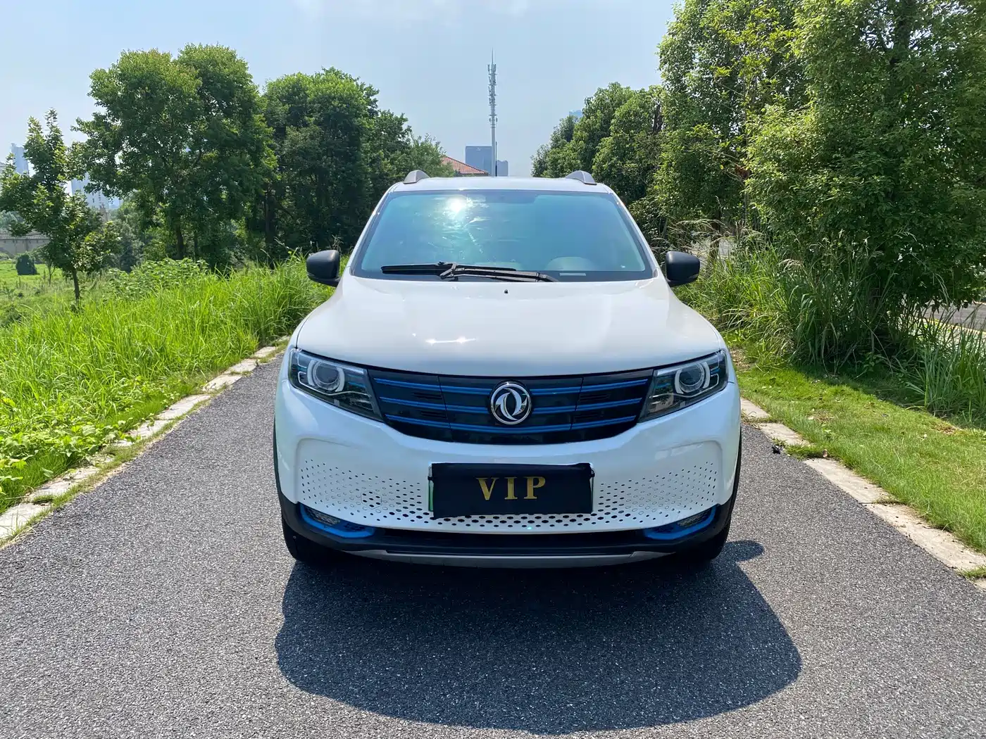 Dongfeng Fengguang Fengguang E1 2022 2020 E-Intelligent