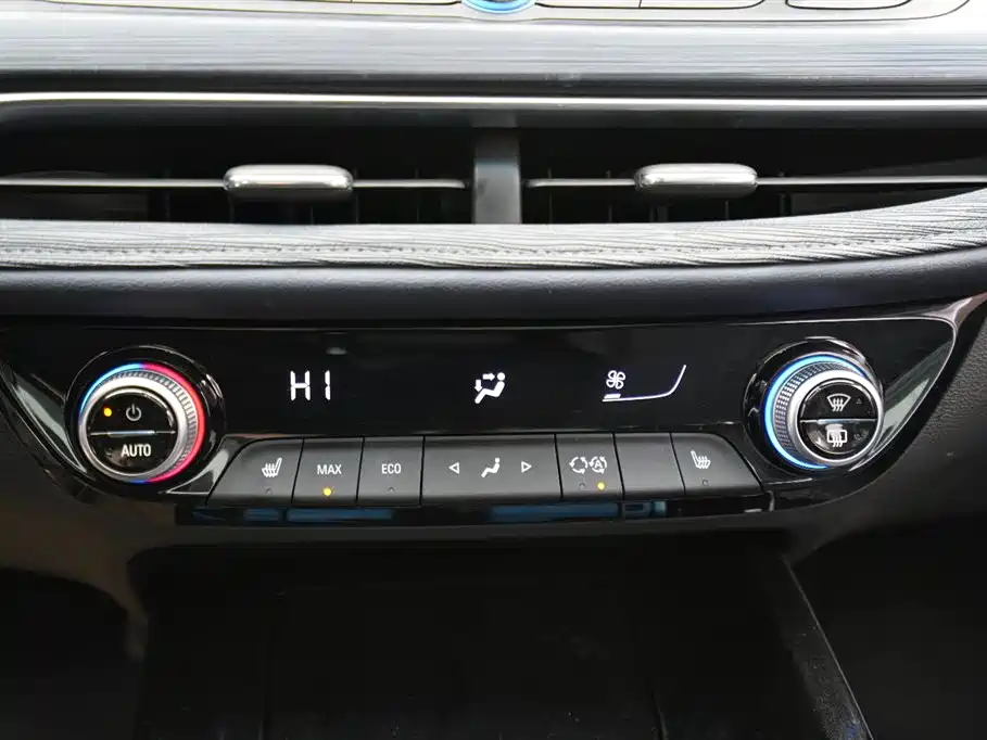 BUICK SLIGHTLY BLUE 6