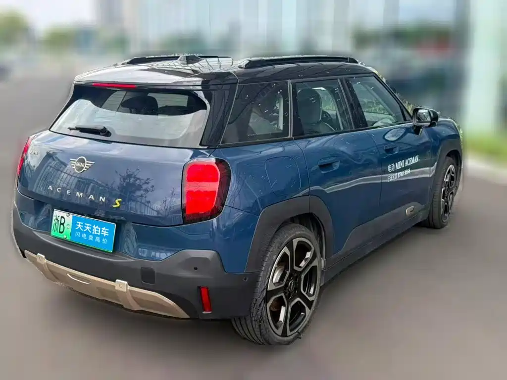 MINI Electric MINI ACEMAN 2024 2024 Model SE Artist
