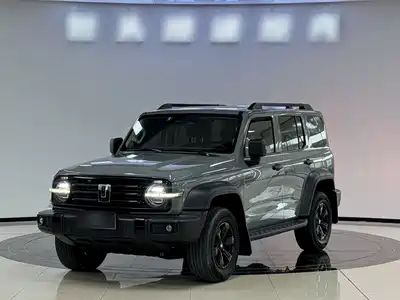 Tank 300