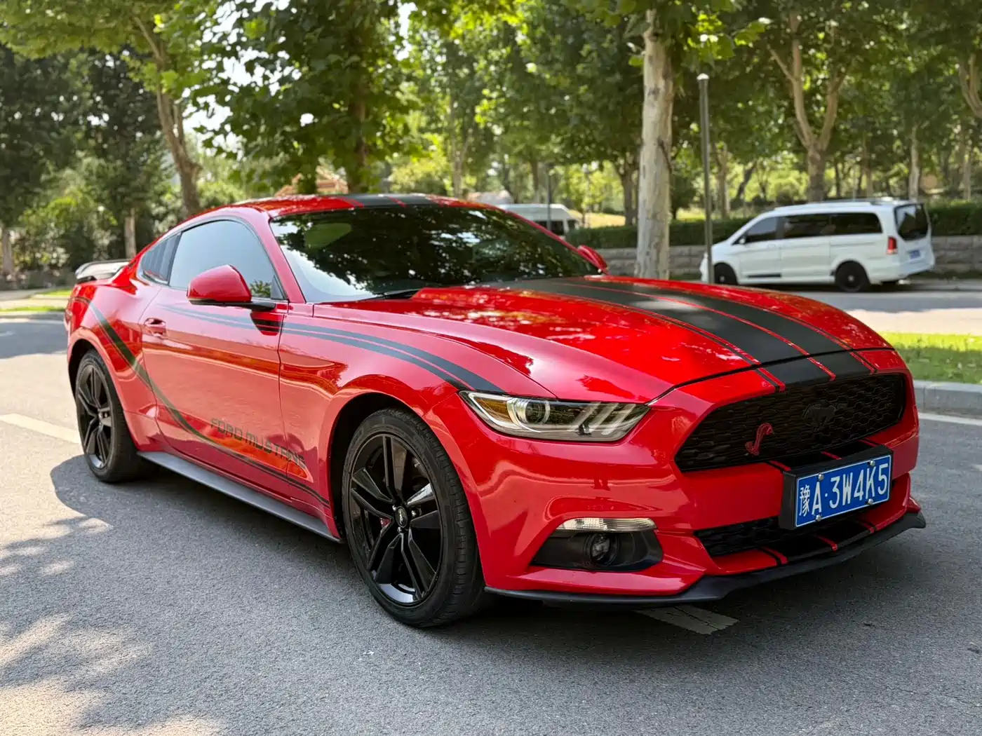 Ford Mustang 2015 2015 2.3T 50th Anniversary Edition