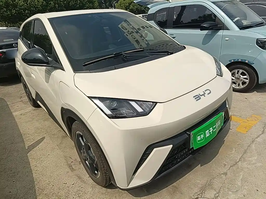 BYD Seagull 2023 Freedom Edition фото 4