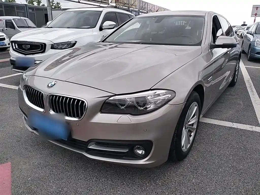 BMW 5 Series 2014 520Li Elegance