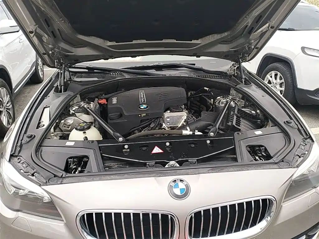 BMW 5 Series 2014 520Li Elegance фото 20