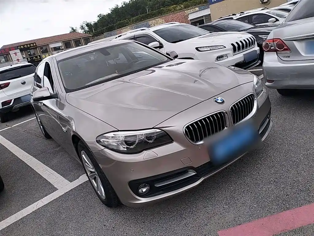 BMW 5 Series 2014 520Li Elegance фото 4
