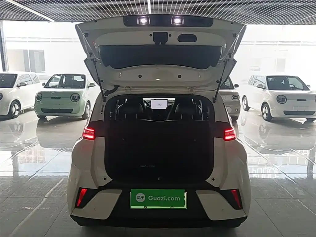 BYD Seagull 2025 Smart Drive Edition 305km Freedom Version фото 19