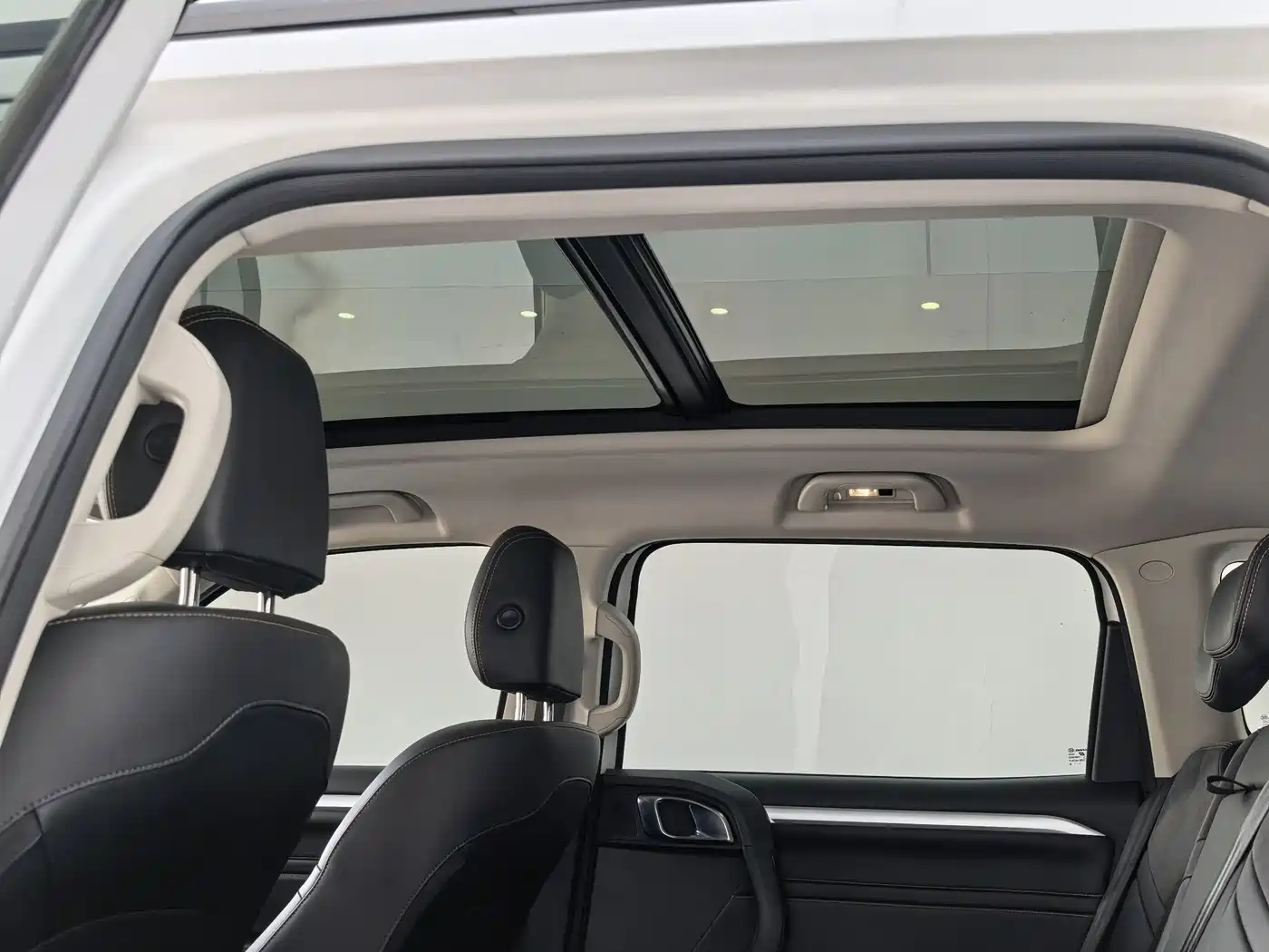 Haval Big Dog 2022 2.0T DCT AWD Howling Celestial Dog Edition фото 9