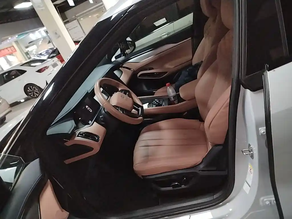 BYD Song L EV 2024 2024 550km Surpassing Type