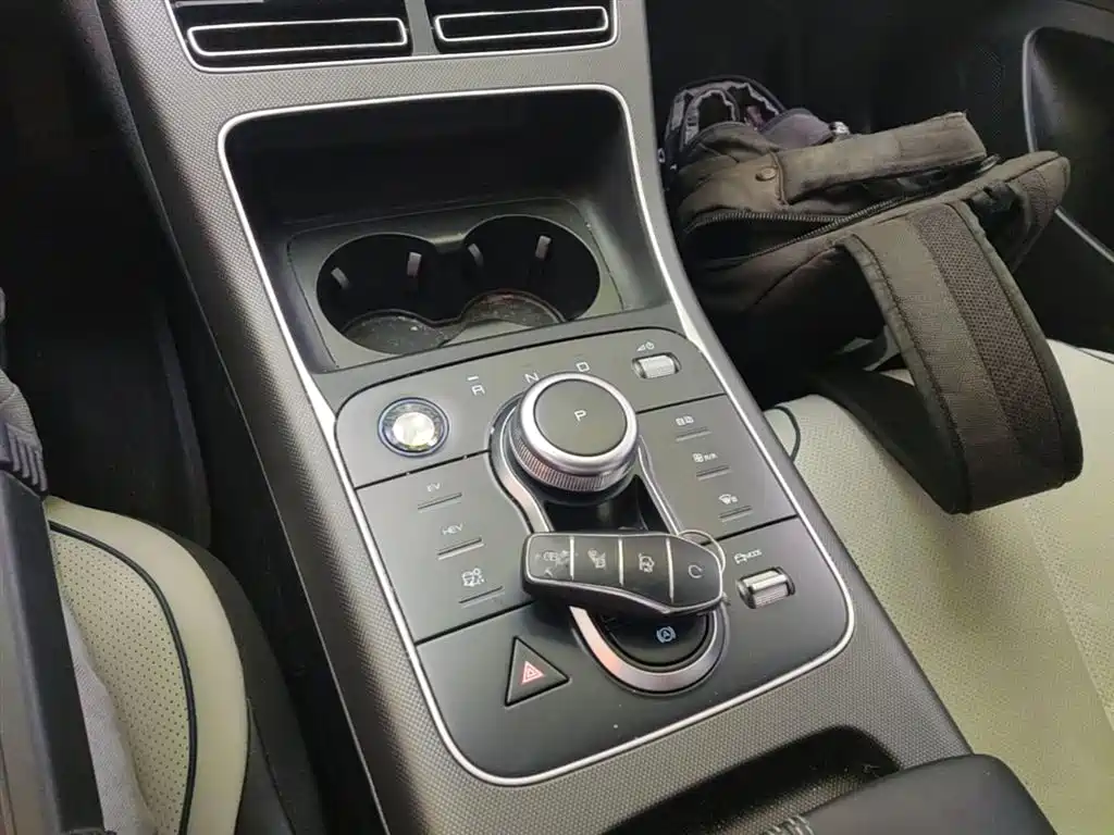 BYD Destroyer 05 2024 Glory Edition DM-i 55KM Luxury фото 14