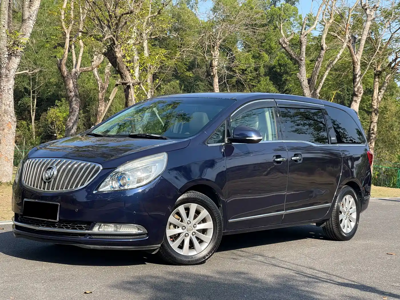 Buick GL8 2014 2.4L LT Luxury Business Executive
