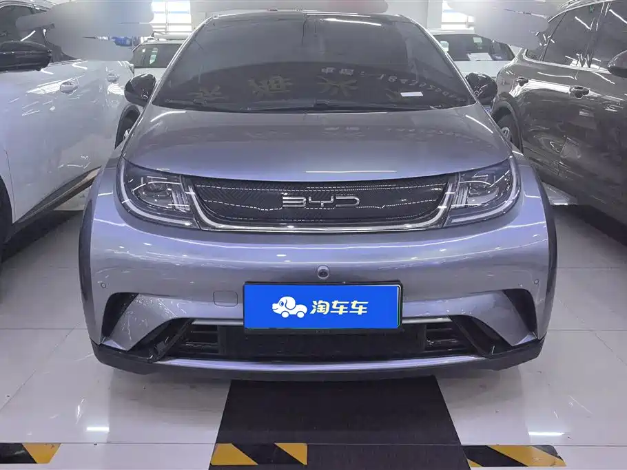 BYD Dolphin 2023 420km Fashion Edition фото 2