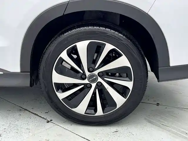 BYD Song PLUS PHEV 2023 Champion Edition DM-i 150KM Flagship PLUS фото 15