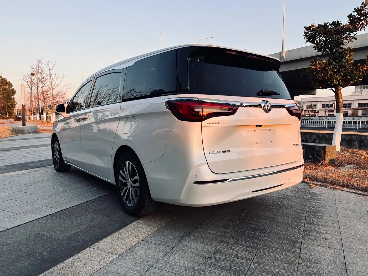 Buick GL8 2021 ES Landlord 653T Comfort фото 16