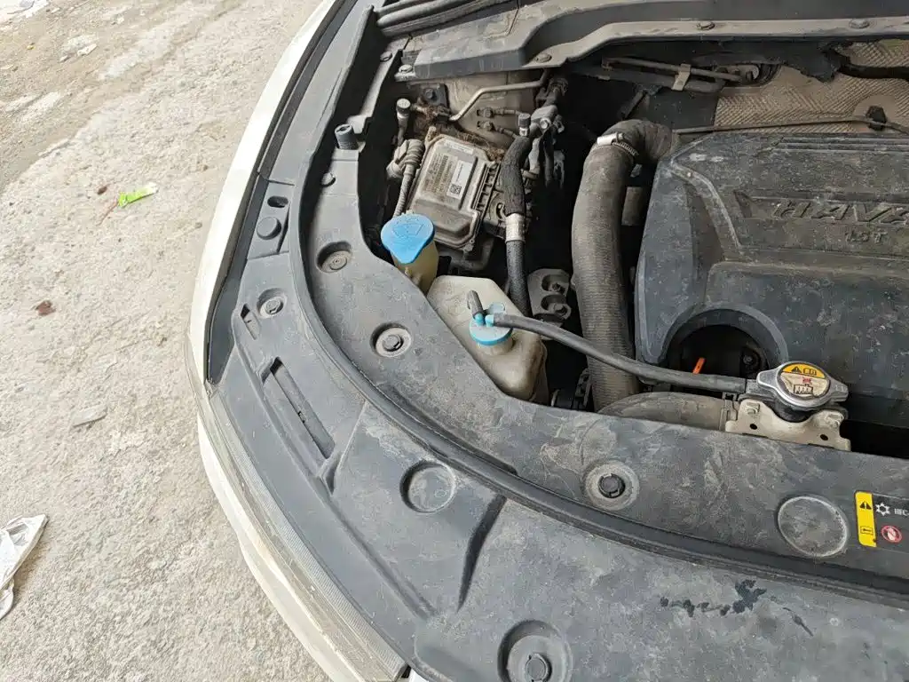 صورة 18 - Haval H2s