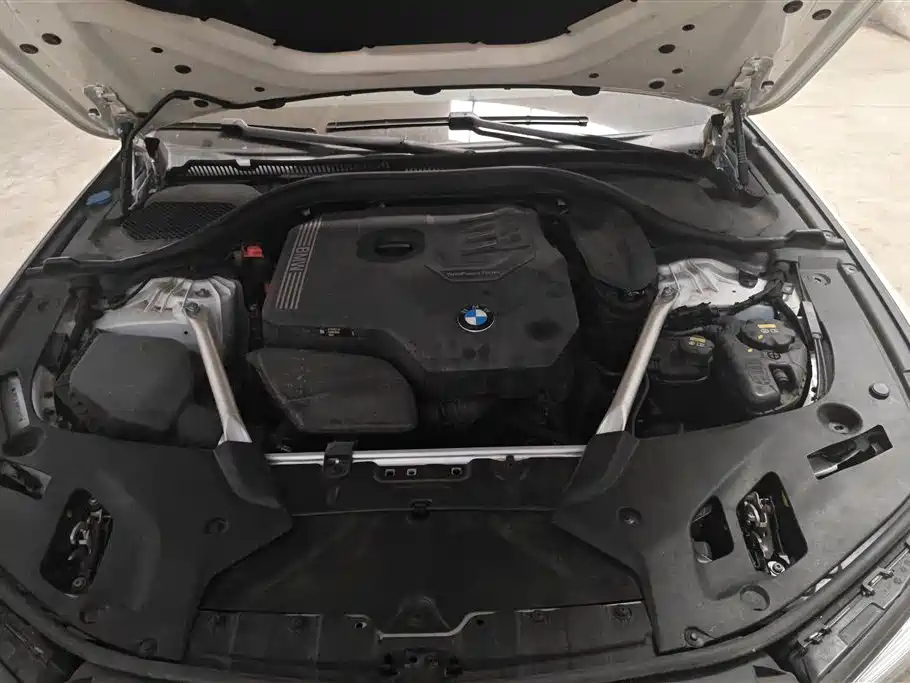 BMW 5 Series 2021 530Li Leading M Sport Package фото 10