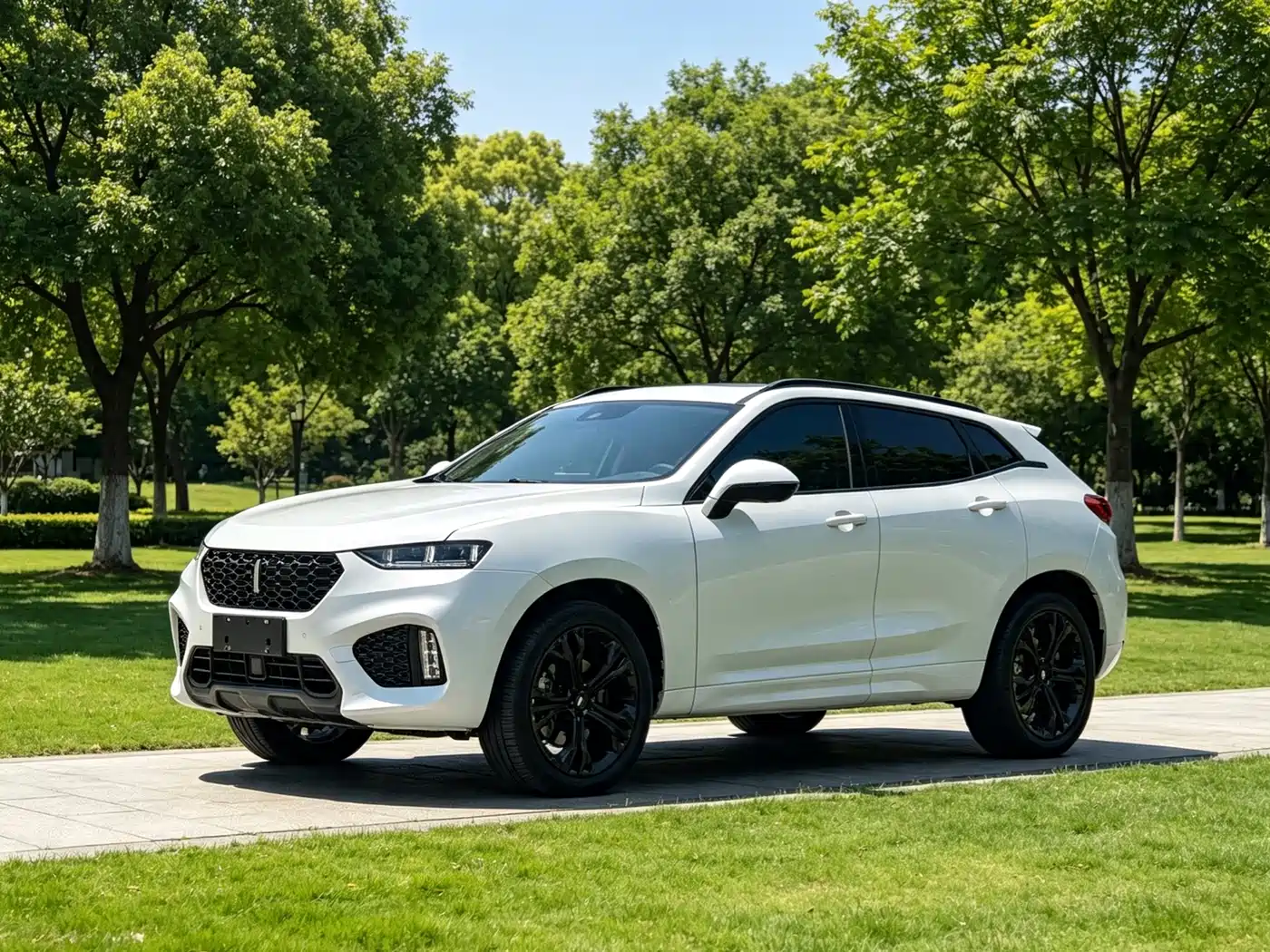 WEY VV7 2017 2017 2.0T Flagship