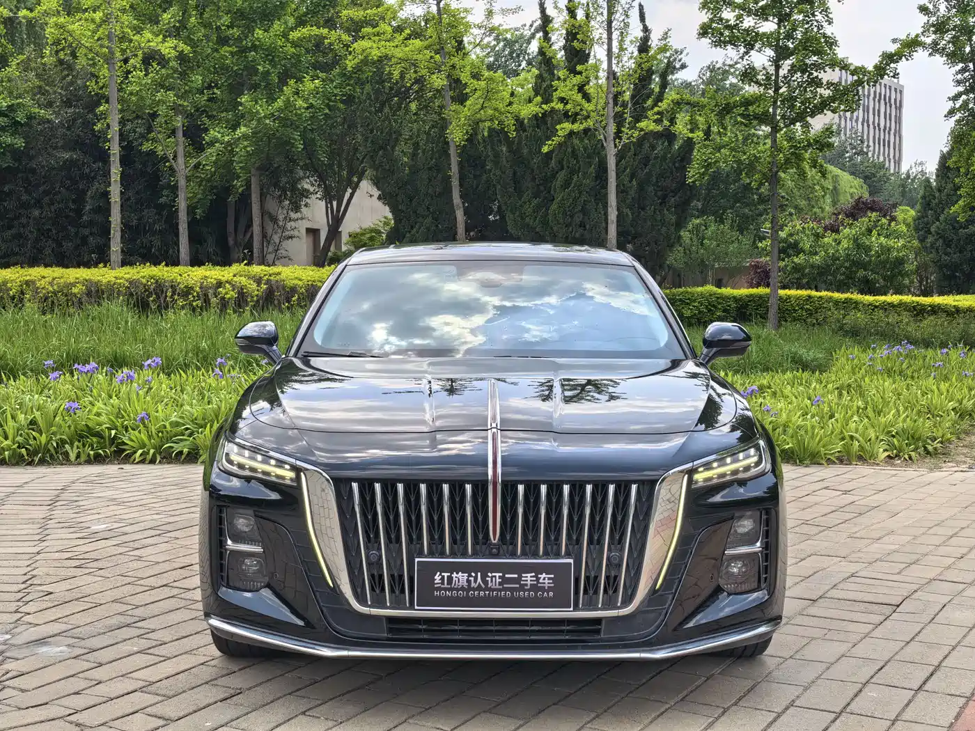 Hongqi H5 2023 2.0T Auto Smart Connect Flag Comfort фото 2