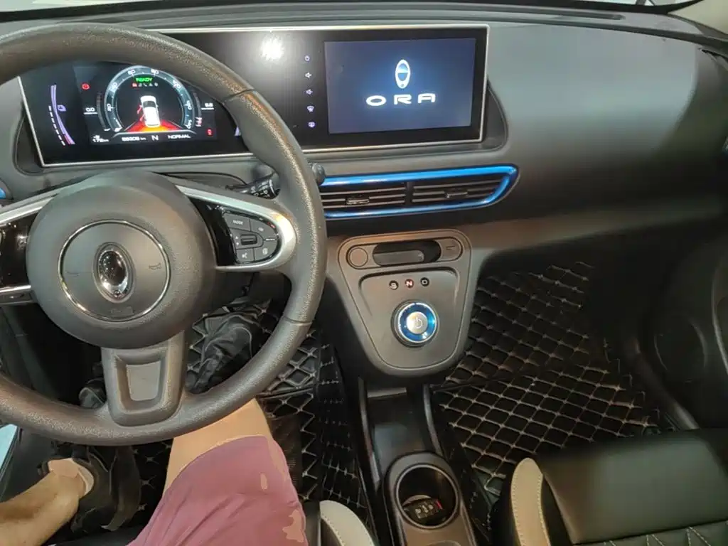 Ora White Cat 2021 2020 305km Luxury