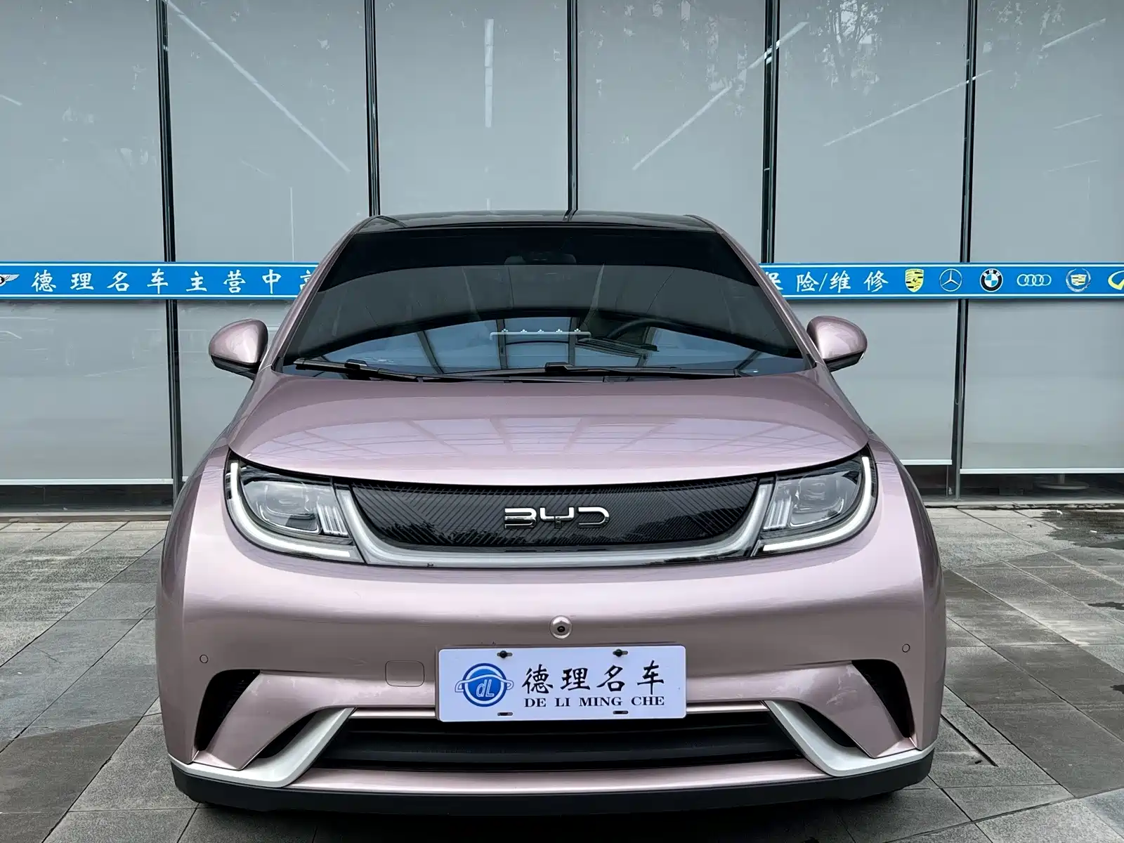 Фото 4 - BYD Dolphin