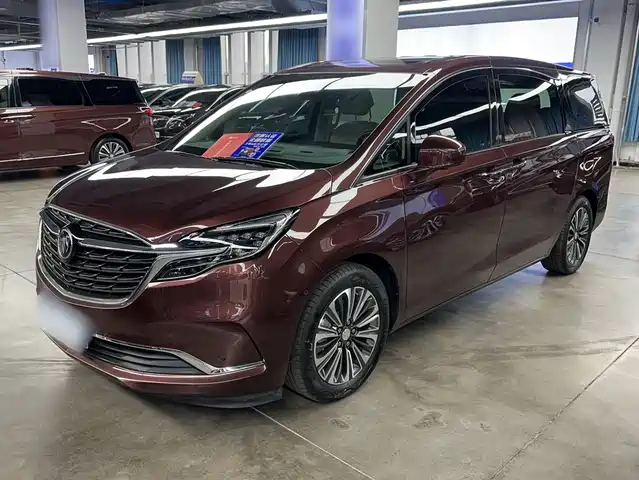 Buick GL8 ES Люкс, 653T, Люкс