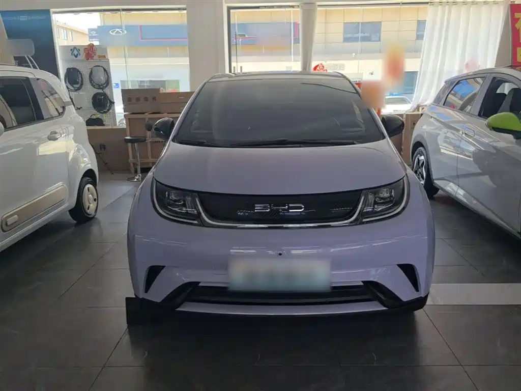 BYD Dolphin 2023 420km Fashion Edition фото 3