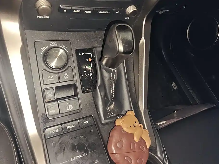 Lexus NX 2018 Model 300h FWD Fengshang Edition China V фото 16