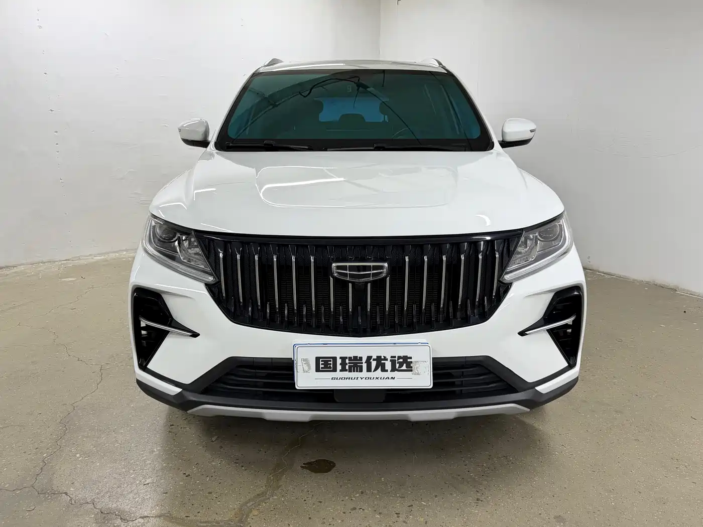GEELY AUTOMOBILE VISION X6