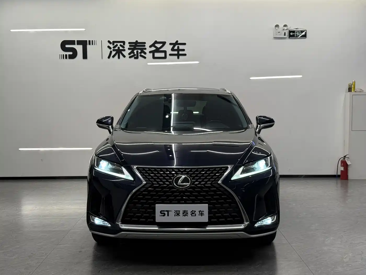 LEXUS RX