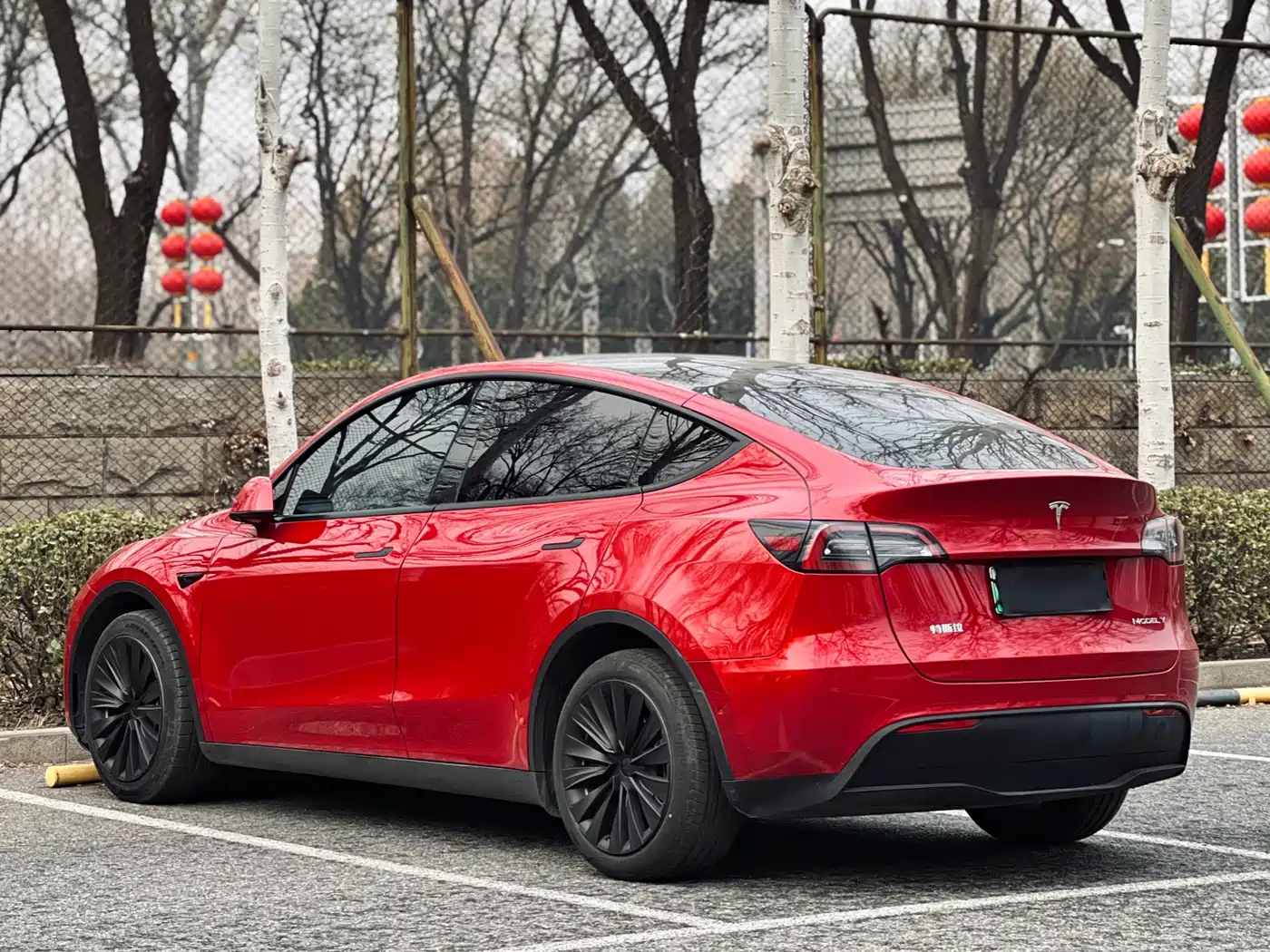 TESLA MODEL Y