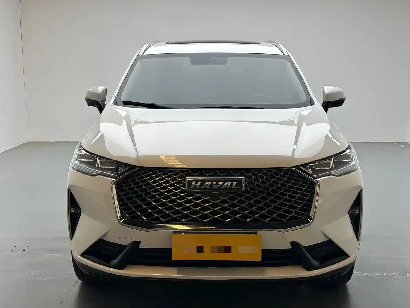 Haval H6 2022 3rd Gen 1.5T Auto 2WD Pro фото 2