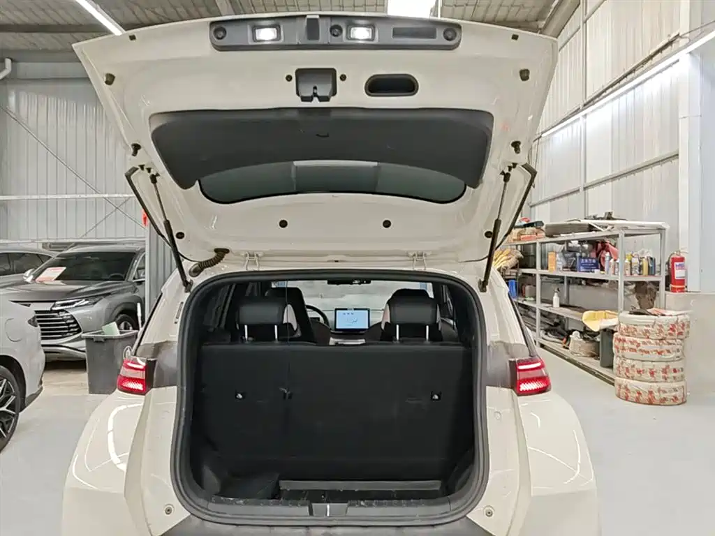 BYD Seagull 2023 Freedom Edition фото 19