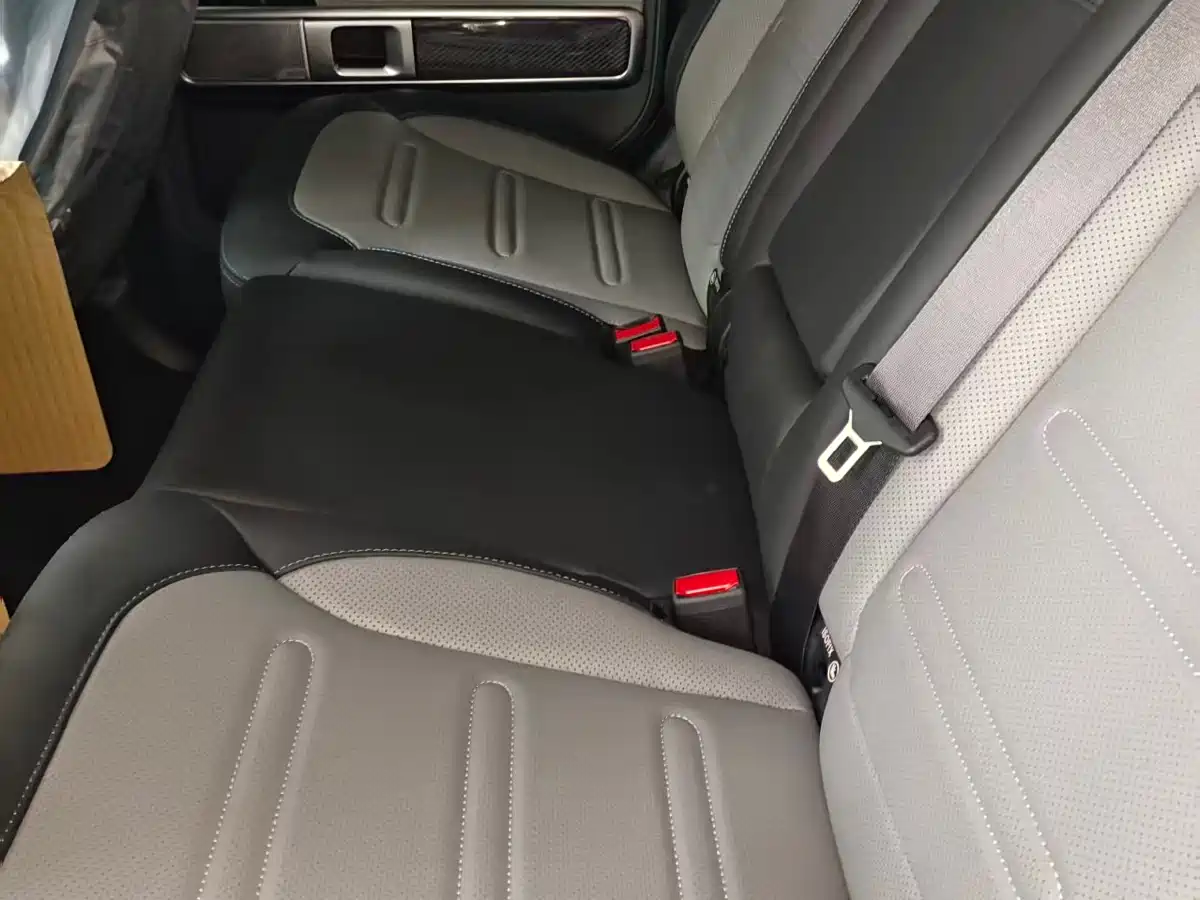 Mercedes-Benz G-Class New Energy 2025 G580 Launch Special Edition фото 8