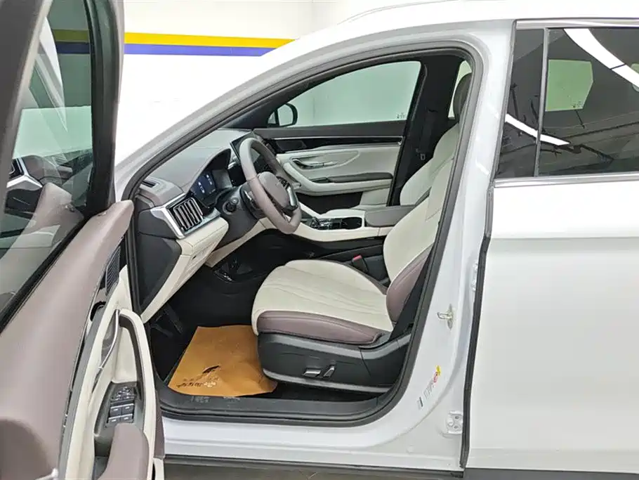 BYD SONGJIANG NEW ENERGY