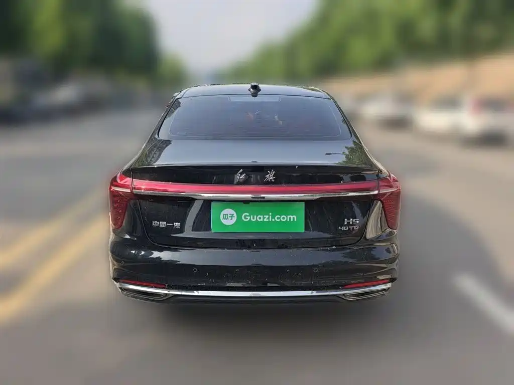 Hongqi H5 2024 2.0T Automatic Smart Connect Flag Smooth Edition фото 4