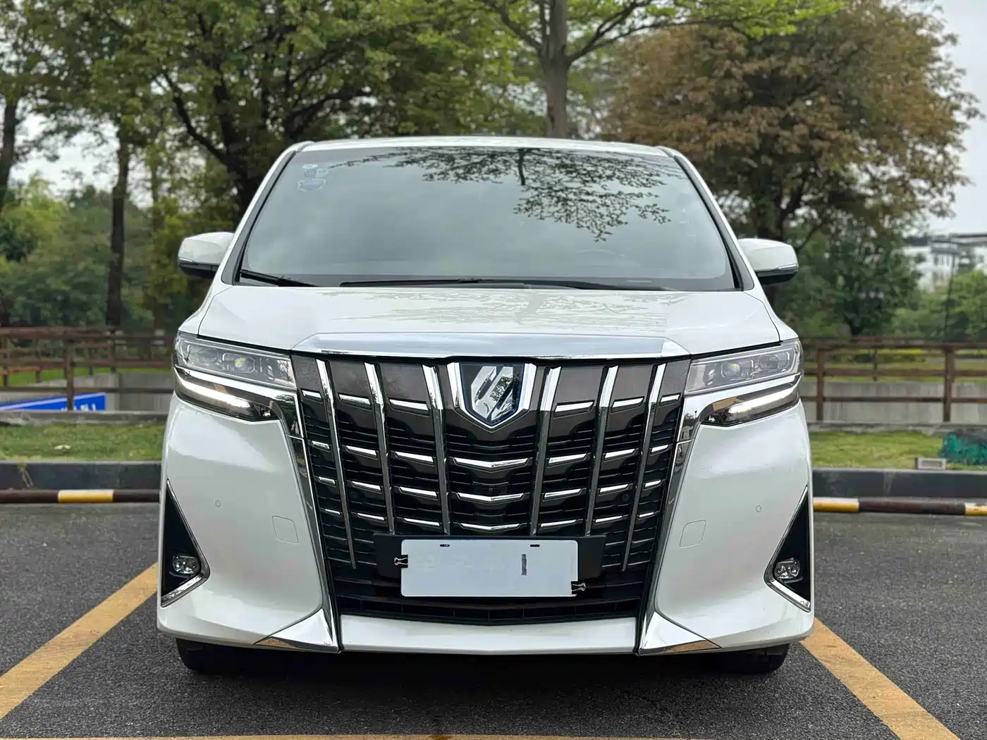 Toyota Alphard 2020 Hybrid 2.5L Premium Edition фото 2