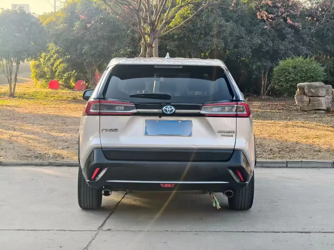 Toyota Wildlander 2021 Hybrid 2.5L E-CVT 2WD Luxury Edition фото 8