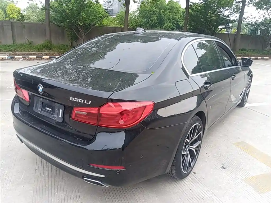 BMW 5 Series 2019 Facelift 530Li Premium Luxury Package фото 7