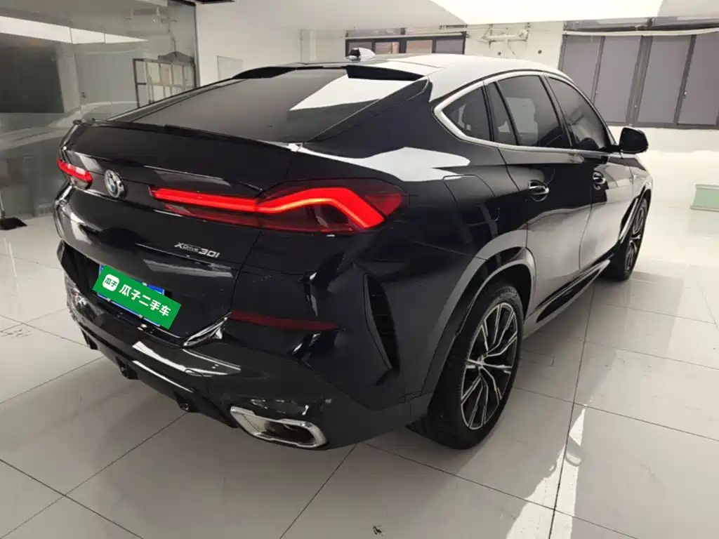 BMW X6 2025 2023 xDrive30i M Sport Package