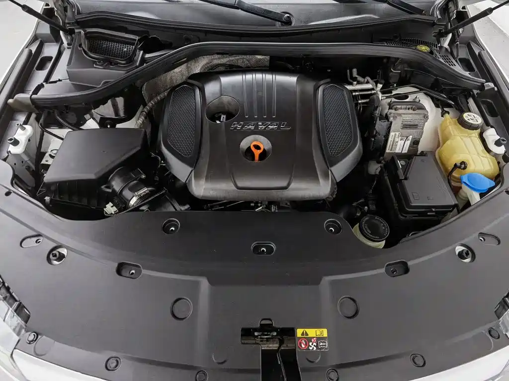 Haval H8 2017 2017 2.0T Gasoline 2WD Enjoyment