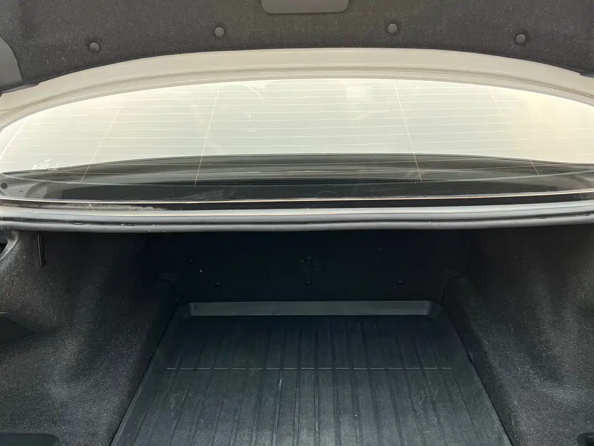 BMW 5 Series 2019 525Li Luxury Package фото 15
