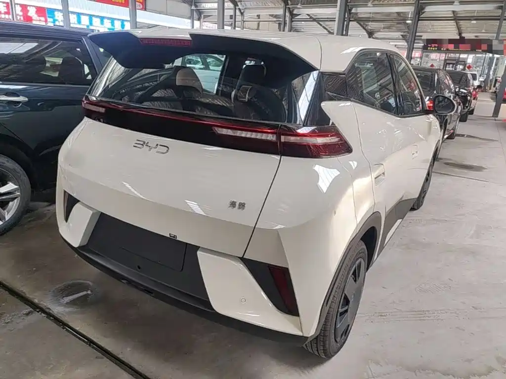 BYD Seagull 2026 2025 Smart Drive Edition 305km Vitality Version