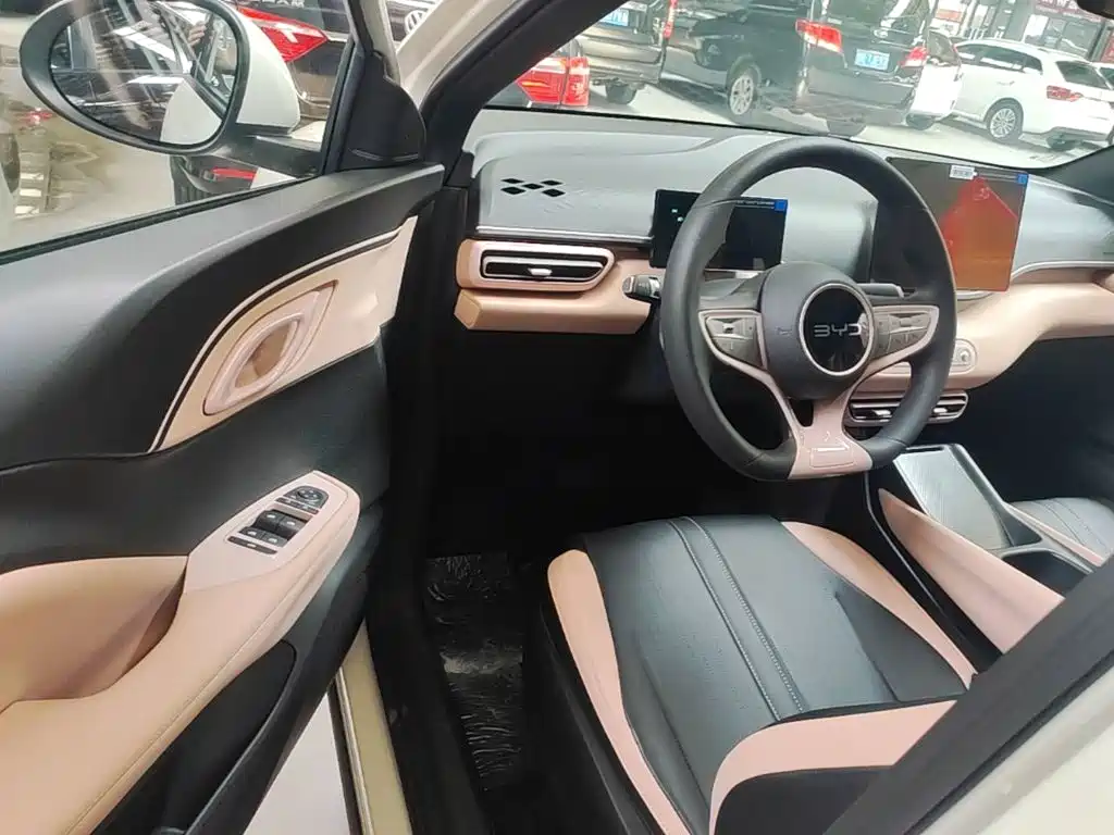 BYD Seagull 2026 2025 Smart Drive Edition 305km Vitality Version
