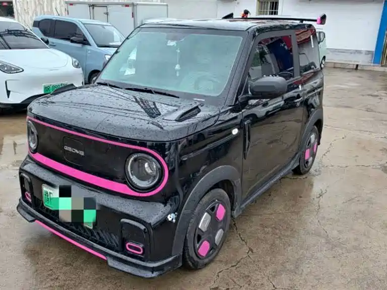Geely Galaxy Panda 2025 Model Year 210km Panda Kart