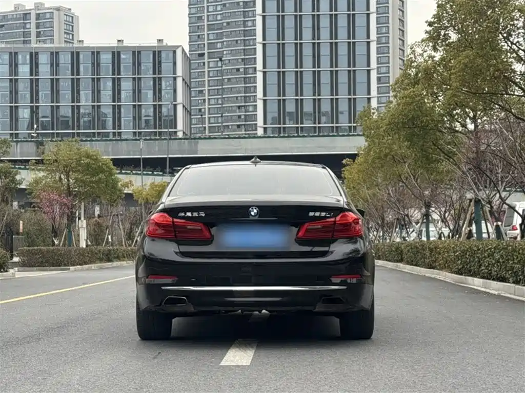 BMW 5 Series 2019 Facelift 525Li Luxury Package фото 6
