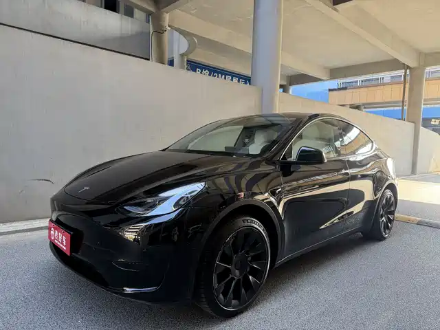 Tesla Model Y Рестайлинг, задний привод