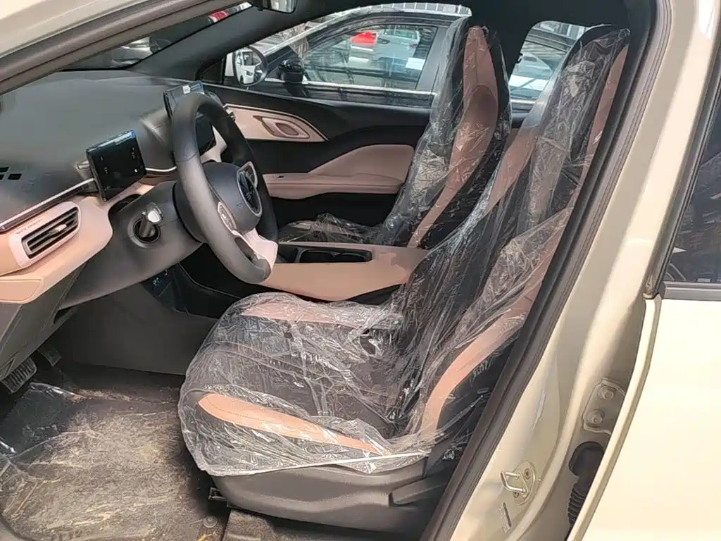 BYD Seagull 2026 2025 Smart Drive Edition 305km Vitality Version