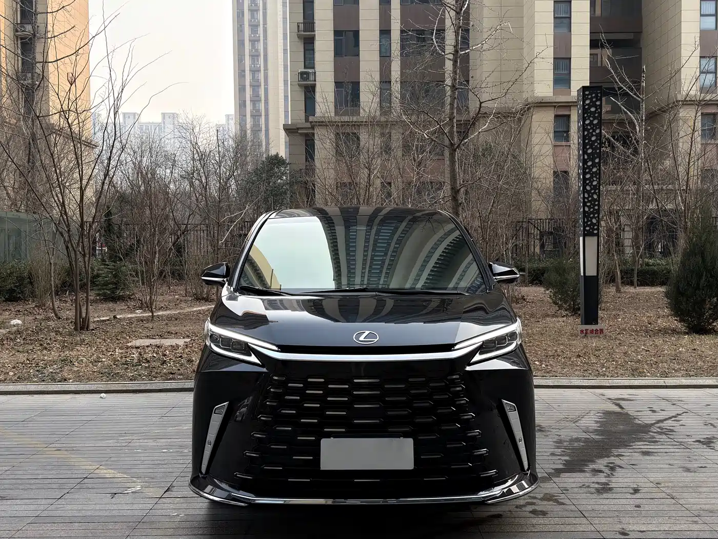 Lexus LM 2023 350h 7-Seater Elegance Edition фото 3