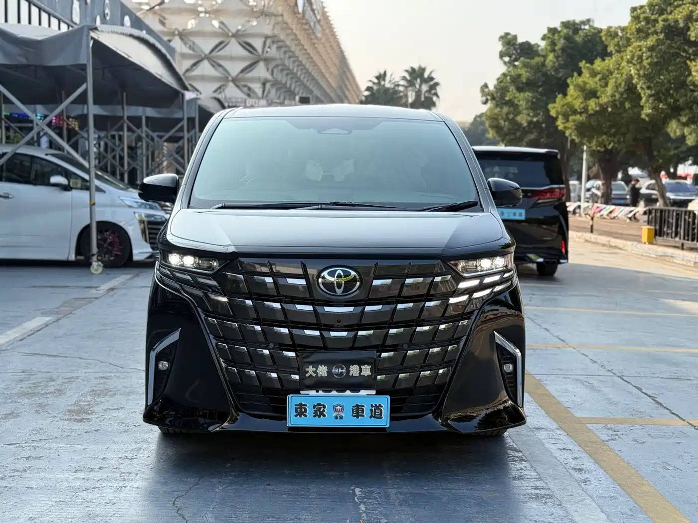 Toyota Alphard 2025 Hybrid 2.5L Ultimate Gold Edition фото 2